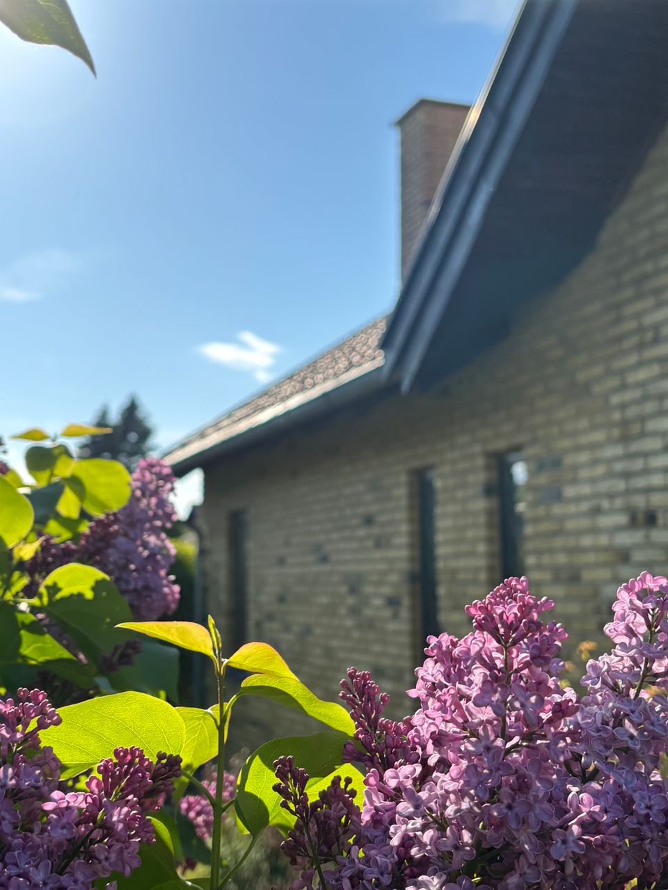 image 03
